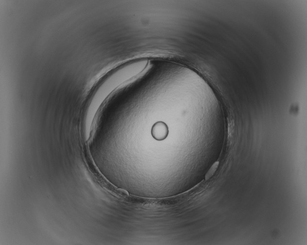 X0000111520348200907281344
