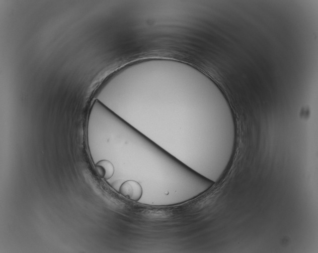X0000111520349200907281344