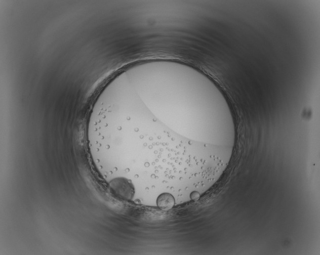 X0000111520351200907281344