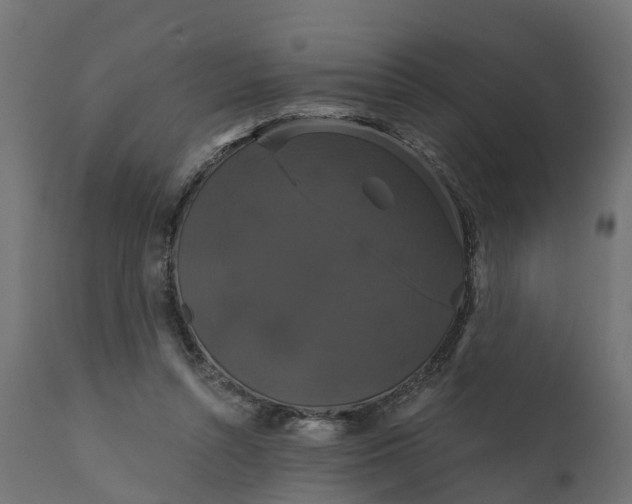 X0000111520352200907281344