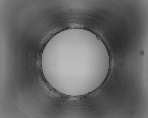 X0000111520353200907281344