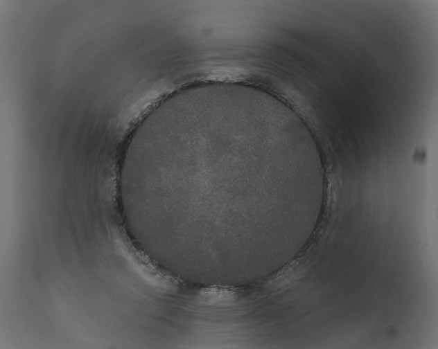 X0000111520354200907281344