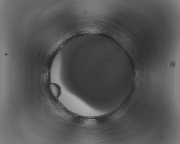 X0000111520355200907281344