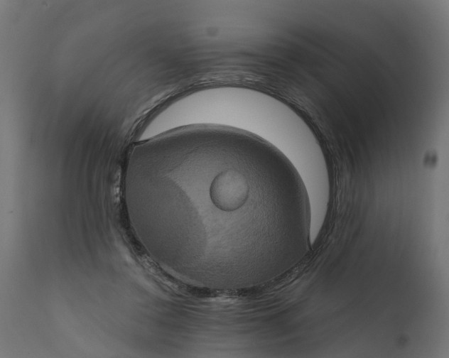 X0000111520356200907281344