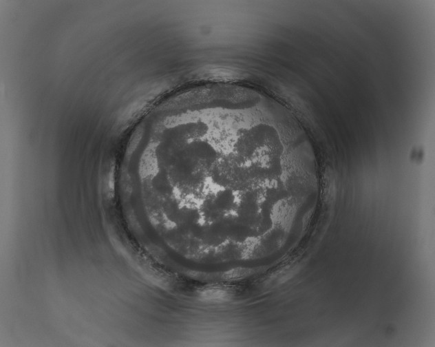 X0000111520358200907281344