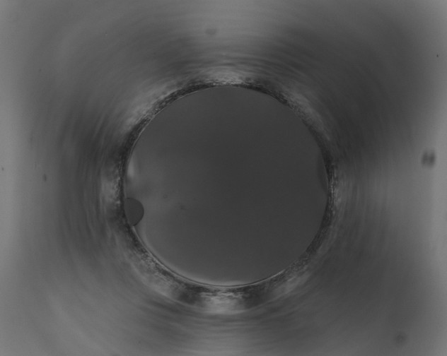 X0000111520359200907281344