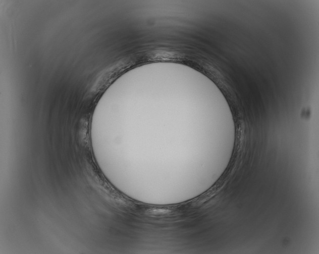 X0000111520361200907281344