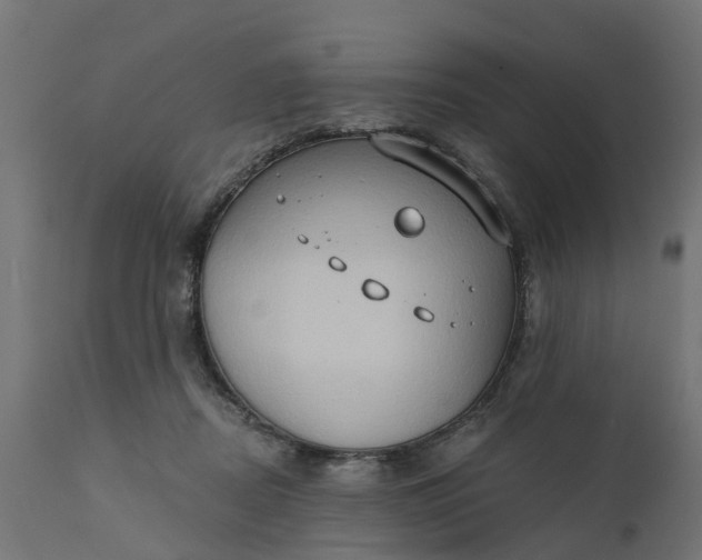 X0000111520362200907281344