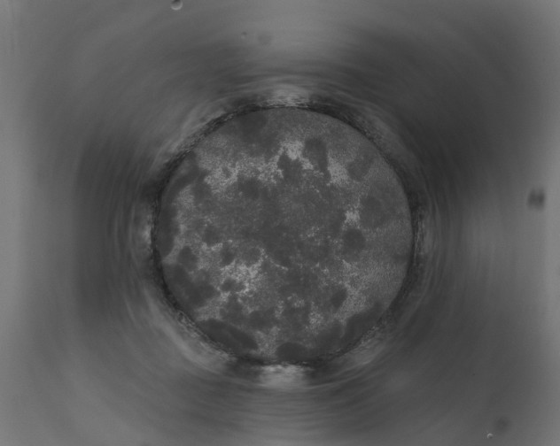 X0000111520363200907281344