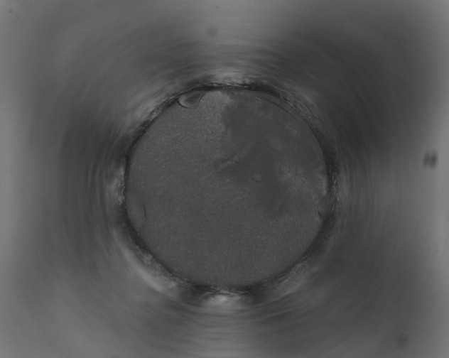 X0000111520364200907281344