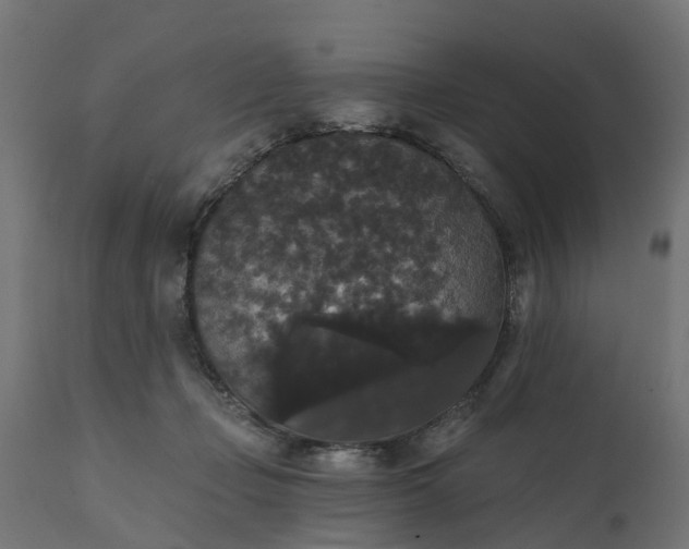 X0000111520365200907281344