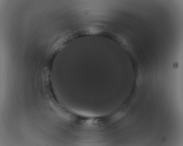 X0000111520366200907281344