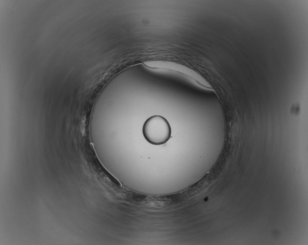 X0000111520368200907281344