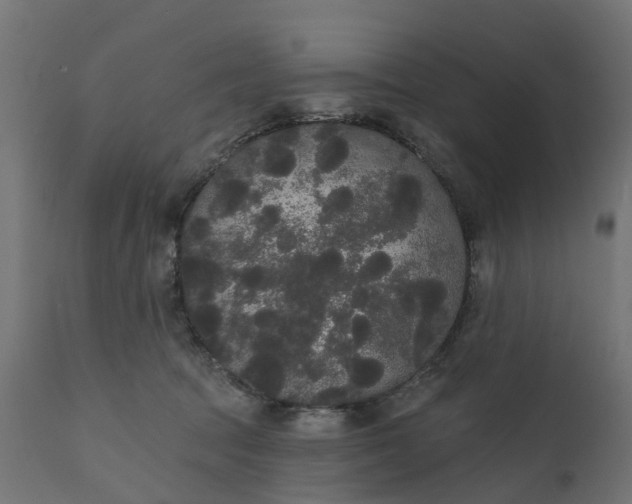 X0000111520369200907281344