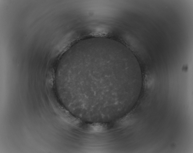 X0000111520370200907281344