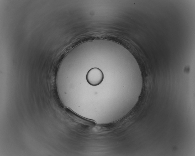 X0000111520372200907281344