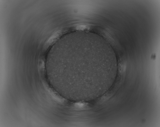 X0000111520375200907281344