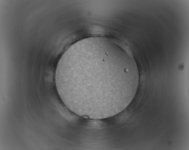 X0000111520379200907281344