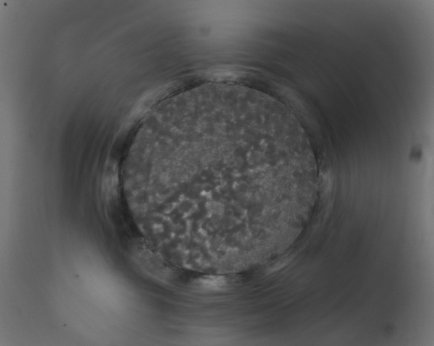 X0000111520381200907281344