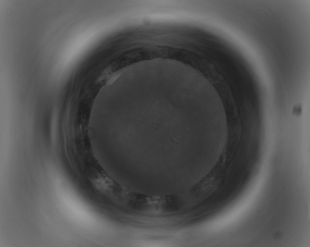 X0000111520382200907281344