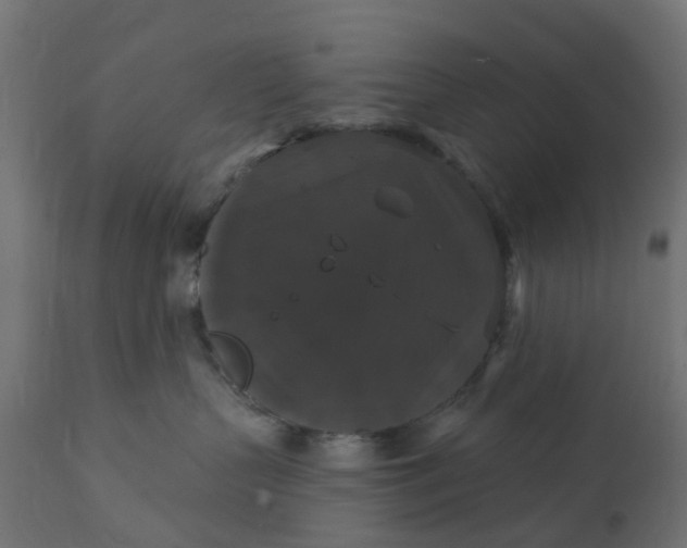 X0000111520383200907281344