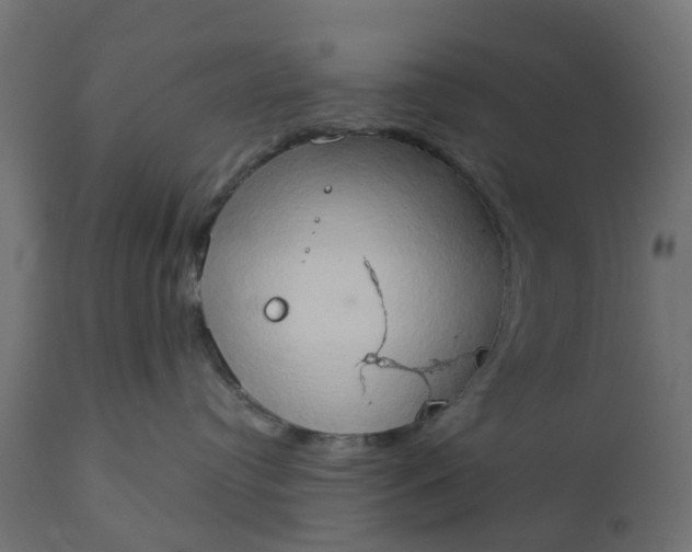 X0000111520384200907281344