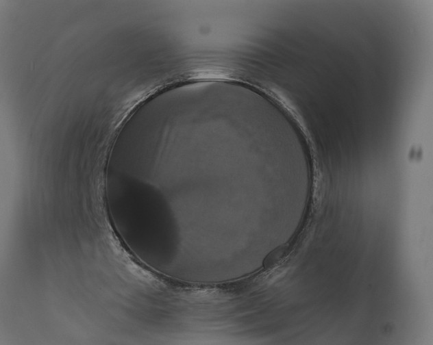 X0000111520385200907281343