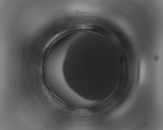 X0000111520387200907281343