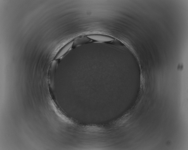 X0000111520389200907281343