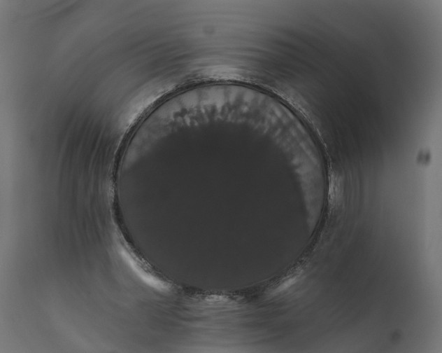 X0000111520390200907281343