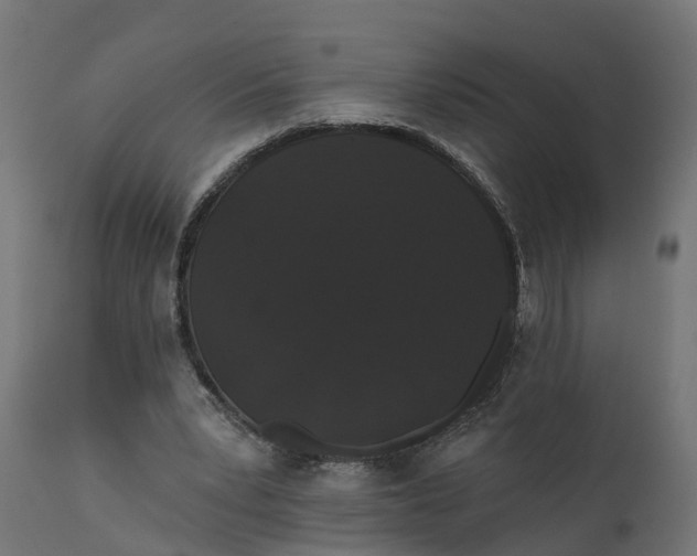 X0000111520391200907281343