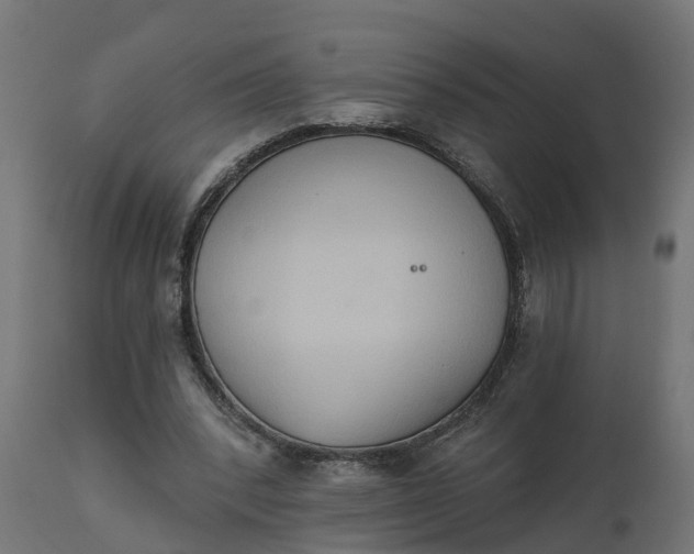 X0000111520392200907281343