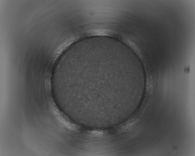 X0000111520394200907281343