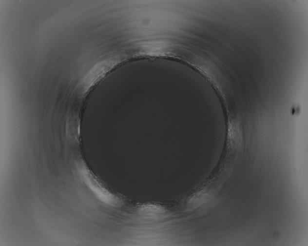 X0000111520397200907281343