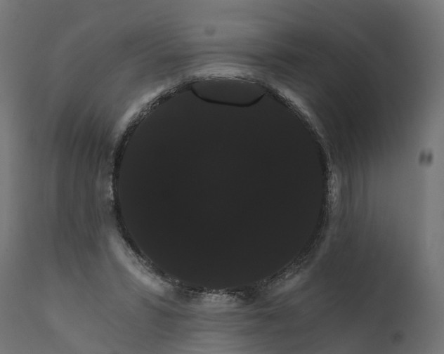 X0000111520399200907281343
