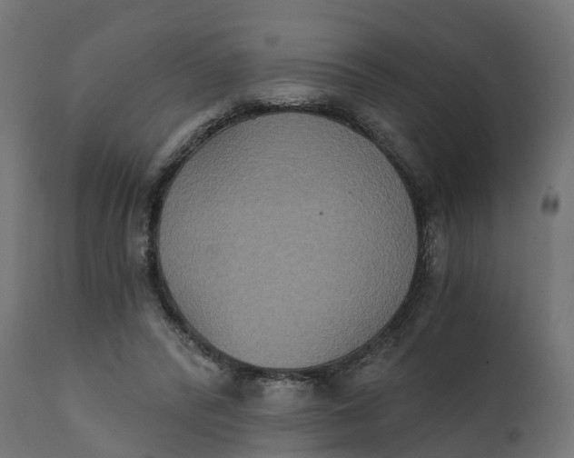 X0000111520400200907281343