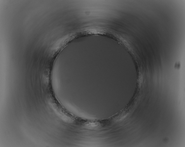X0000111520402200907281343