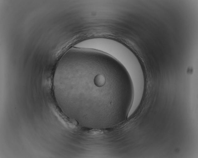 X0000111520405200907281343
