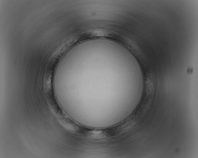 X0000111520406200907281343