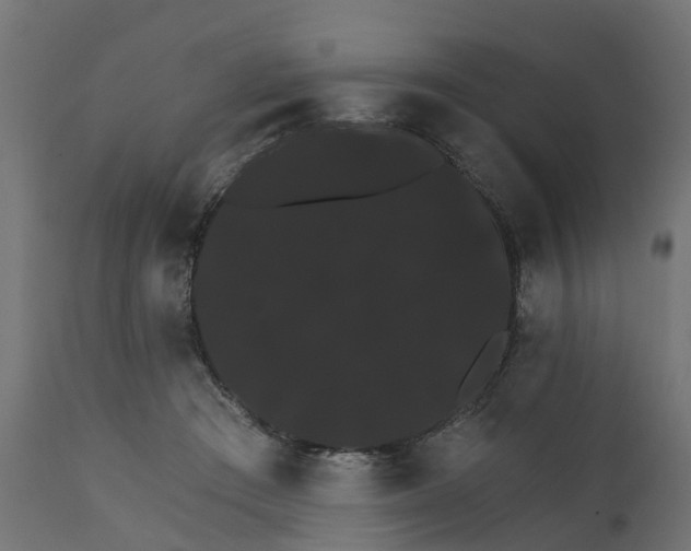 X0000111520409200907281343
