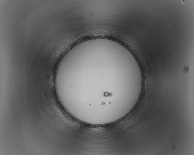 X0000111520411200907281343