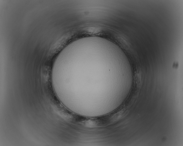 X0000111520412200907281343
