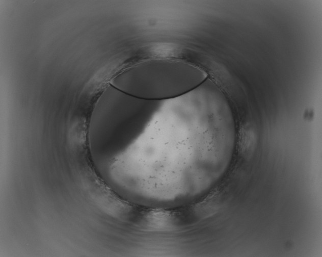 X0000111520413200907281343
