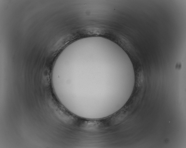 X0000111520414200907281343