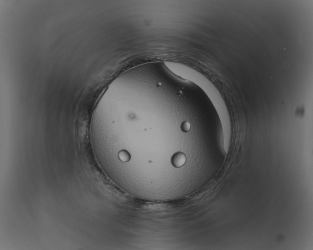 X0000111520417200907281343