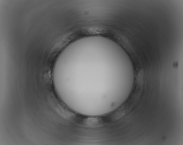 X0000111520418200907281343