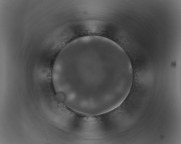 X0000111520419200907281343