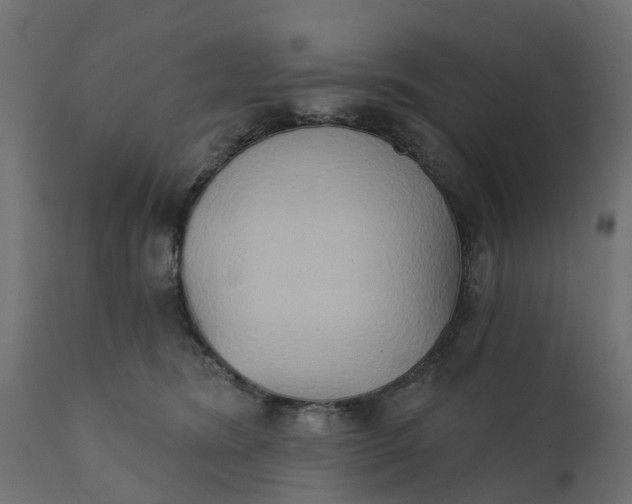 X0000111520420200907281343