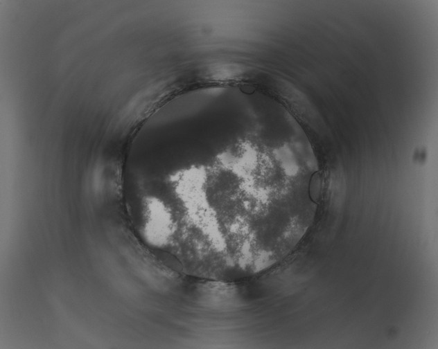 X0000111520421200907281343