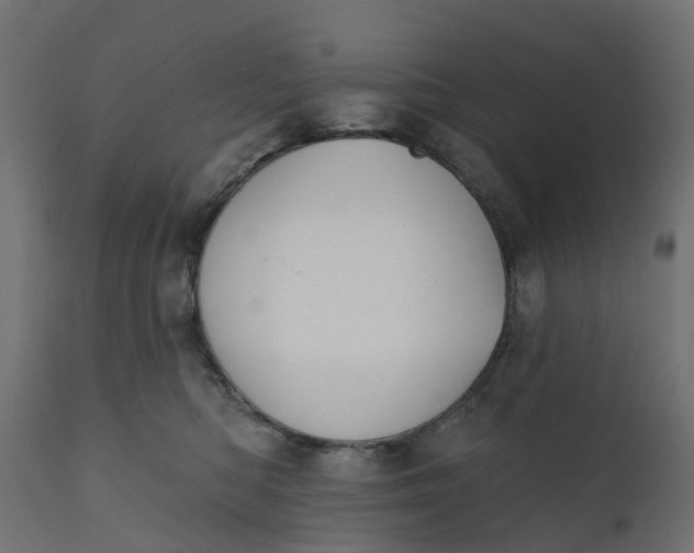 X0000111520422200907281343